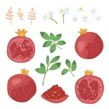 Vector summer set with sweet pomegranates, leaves and flowers Stock Illustration