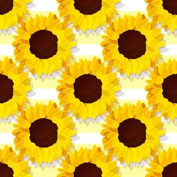Vector sunflower flower pattern Stock Illustration