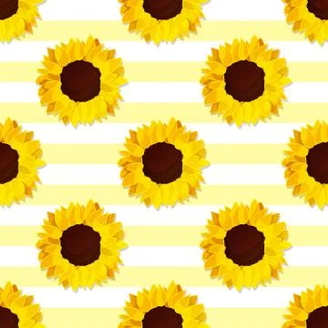 Vector sunflower flower pattern Stock Illustration