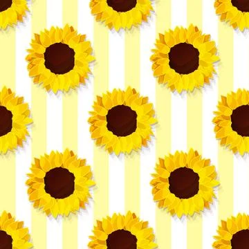 Vector sunflower flower pattern Stock Illustration