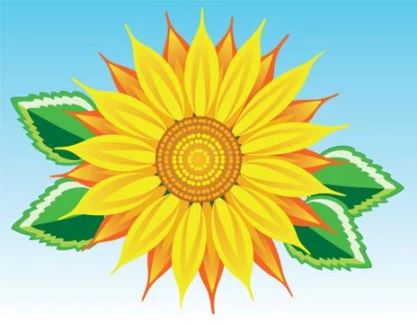 Vector sunflower Stock Illustration