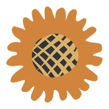 Vector Sunflower isolated on white background. Hand drawn flat Sunflower illu Stock Illustration