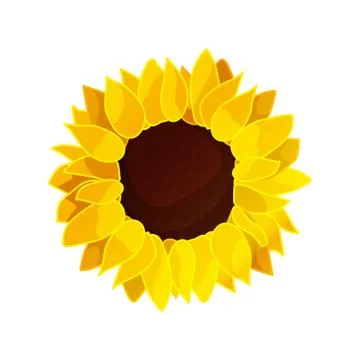 Vector sunflower seed head flower Stock Illustration