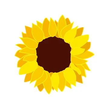 Vector sunflower seed head flower Stock-Illustration
