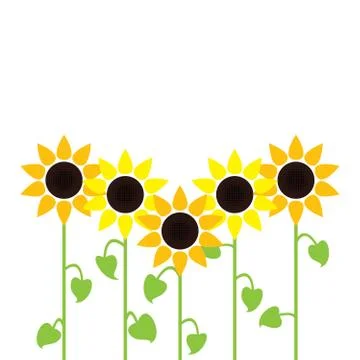 Vector sunflower summer background Stock Illustration