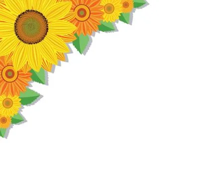 Vector  sunflowers and leaves Stock Illustration