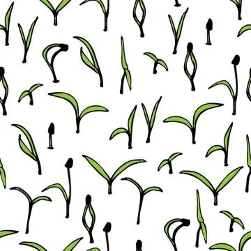 Vector surface pattern of microgreen. Young plants, seedlings and sprouts Stock Illustration