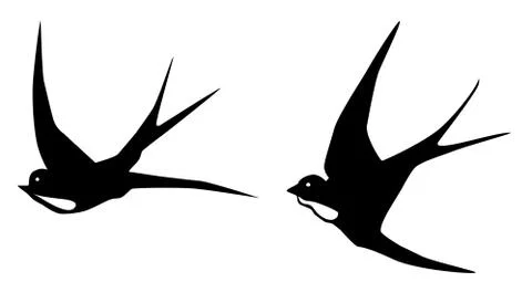 Vector Swallows Birds Stock Illustration