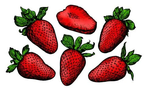 Vector sweet and fresh red strawberry set. Farm organic food Illustrazione stock
