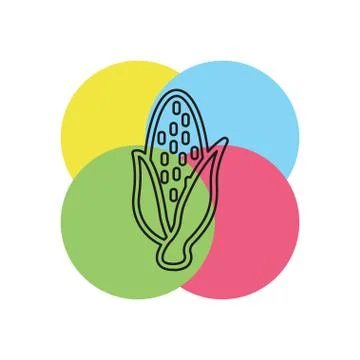 Vector sweet corn illustration isolated Stock Illustration