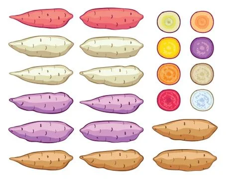 Vector sweet potatoes Stock Illustration