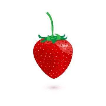 Vector sweet strawberry isolated on white background. Stock Illustration