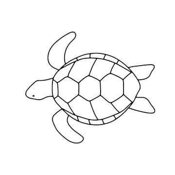 Vector swimming turtle isolated on white background. Hand drawn outline doodle Stock Illustration
