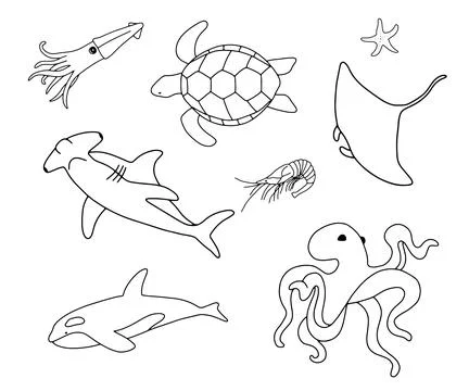 Vector swimming turtle, squid, stingray and shark isolated on white background Stock Illustration