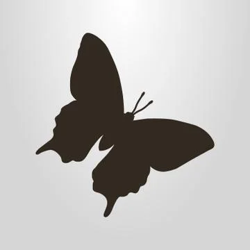 Vector symbol of a butterfly  Stock Illustration