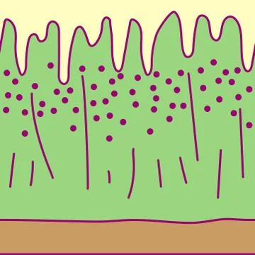 Vector tableware template cute fruit Stock Illustration