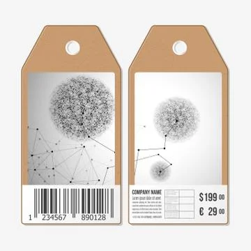 Vector tags design on both sides, cardboard sale labels with barcode. Molecule Stock Illustration