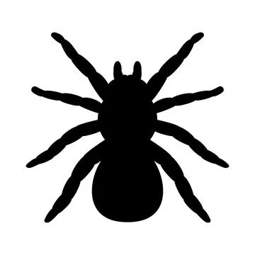 Vector tarantula spider silhouette Stock Illustration