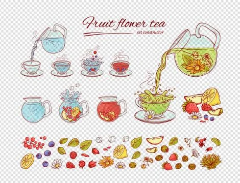 Vector tea constructor flowers fruits brew process. Make and pour in transparent Stock Illustration