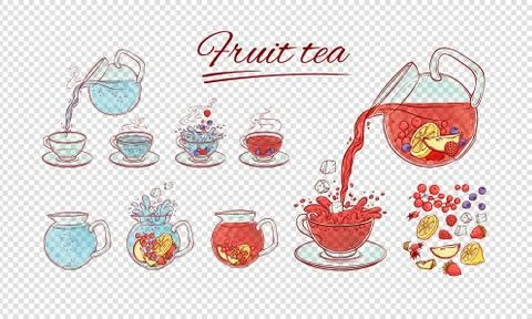 Vector tea constructor fruits brew process. Make and pour in transparent cup hot Stock Illustration