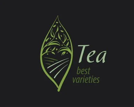 Vector tea logo on a dark background, hand-drawn Stock Illustration