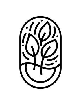 Vector Tea or tree Leaves for Cafe or Farm Product Label Eco Logo Organic plant Stock Illustration