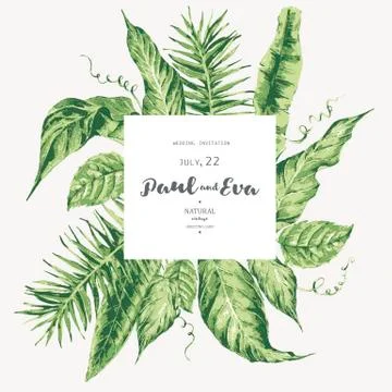 Vector template card of green tropical leaves Stockillustratie