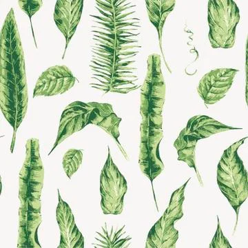 Vector template card of green tropical leaves Stockillustratie