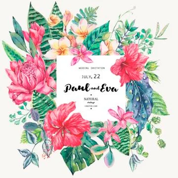 Vector template card of tropical flowers and leaves イラスト素材