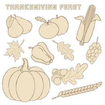 Vector template with hand drawn Thanksgiving elements. Stock Illustration