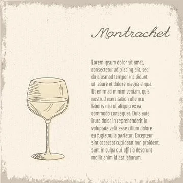 Vector template with hand drawn wine glass. Stock Illustration