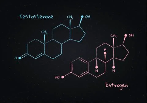 Vector testosterone and estrogene structure banner illustration set. Stock Illustration