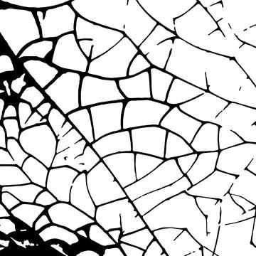 Vector texture black and white background for the design of a stylized flyer  Stock Illustration
