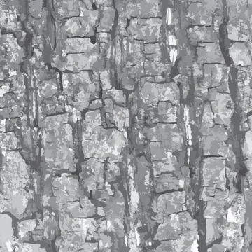 Vector texture rough bark of a large tree for the design scratch scuffed Stock Illustration