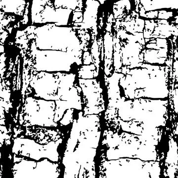 Vector texture rough bark of a large tree for the design Stock Illustration