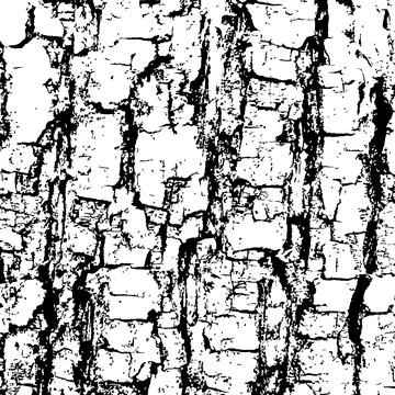 Vector texture tree bark textured effect, vector texture Illustrazione stock