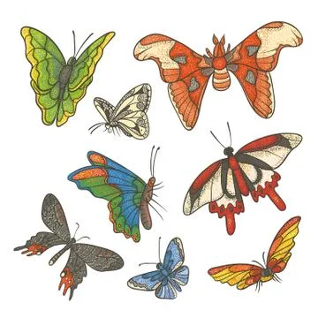 Vector textured color set illustration. Different tropical butterflies flying Stock Illustration
