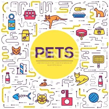 Vector Thin Line Breed Cats Icons Set. Cute Outline Animal Illustrations Pet