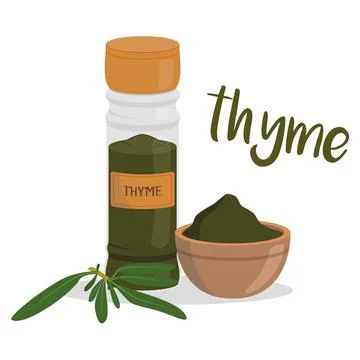 Vector thyme illustration isolated in cartoon style. Herbs and Species Series Stock Illustration