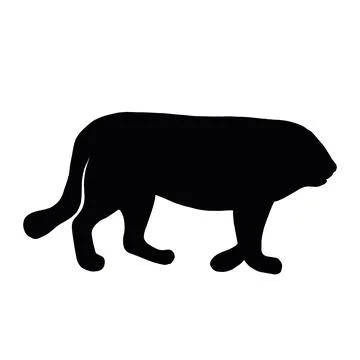Vector tiger 2022. Year of the tiger 2022. Stock Illustration