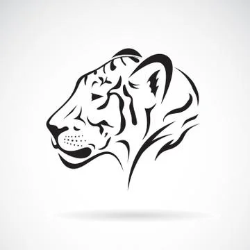 Vector of a tiger head on white background. Wild Animals 스톡 일러스트