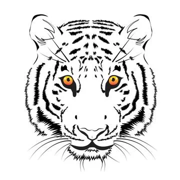 Vector tiger head on a white background Stock Illustration