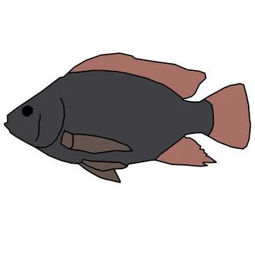 Vector tilapia which is very nice and also beautiful Stock Illustration