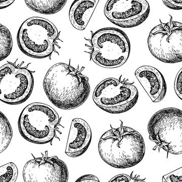 Vector tomato seamless pattern drawing. Isolated tomatoes and sliced pieces. Stock Illustration