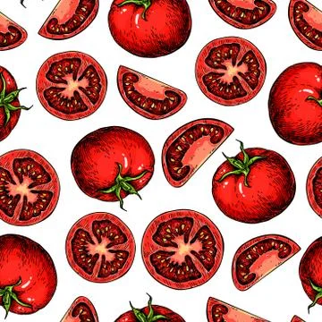 Vector tomato seamless pattern drawing. Isolated tomatoes and sliced pieces.. Illustrazione stock
