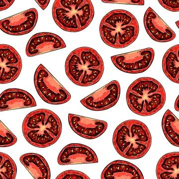 Vector tomato seamless pattern drawing. Isolated tomatoes and sliced pieces.. Stock Illustration
