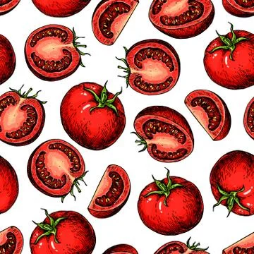 Vector tomato seamless pattern drawing. Isolated tomatoes and sliced pieces.. Illustrazione stock