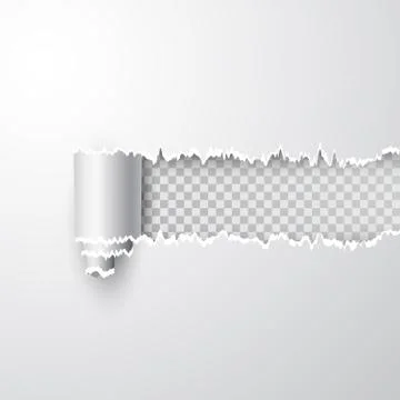 Vector torn hole in sheet of white paper. Transparent background of resulting Stock Illustration