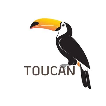 Vector of toucan birb design on white background. Wild Animals. Easy editable Illustrazione stock