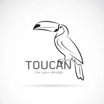 Vector of toucan birb design on white background. Wild Animals. Easy editable Stock Illustration